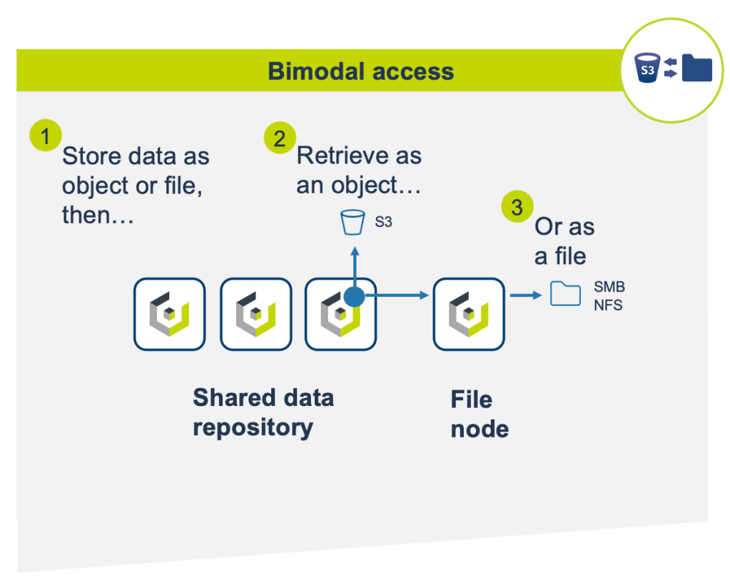 cloudian bi-modal access